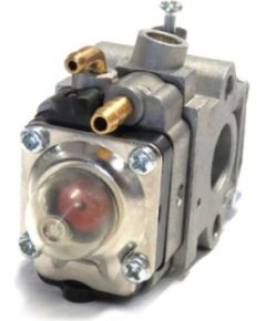 CARBURETOR ASSY, Echo