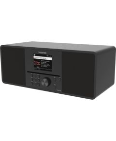 TELESTAR TOP 300 Schwarz Multifunktionsradios Stationär