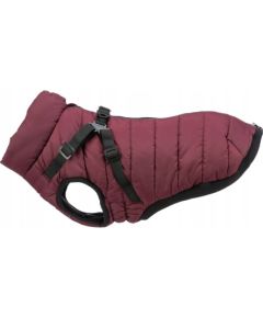 Trixie Pirou winter harness coat, S: 33 cm, sangria