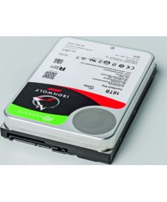 Seagate Ironwolf Pro NAS 16 TB, HDD (SATA 6 Gb / s, 3.5 ")