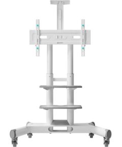 TV SET ACC MOBILE STAND/40-70"/WHITE TS1552-W ONKRON