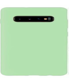 Evelatus Samsung  Galaxy S10+ Nano Silicone Case Soft Touch TPU Mint