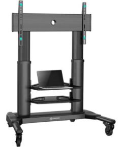 TV SET ACC MOBILE STAND/40-80"/BLACK TS2771-B ONKRON