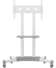 TV SET ACC MOBILE STAND/32-65"/WHITE TS1351-W ONKRON