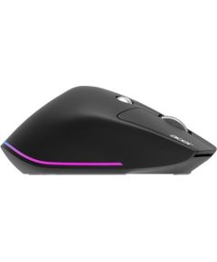 Acer Easy Fit wireless Mouse |2.4GHz and BT5.0 Black