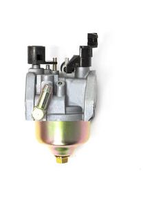 Carburetor Assembly, MTD