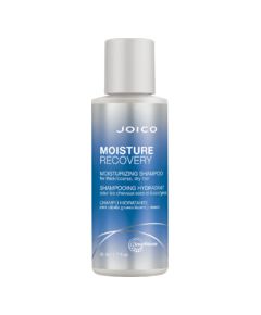 Joico Moisture Recovery Moisturizing Shampoo (dry hair) 300ml