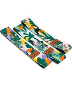 Treniņu gumiju komplekts Spokey HOME JUNGLE Fitnesa preces