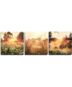 Kanvas kompl. 3x32x32cm SUMMERY Gleznas, kanvas un plākati