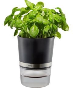 GEFU BOTANICO Herb pot Freestanding Plastic, Stainless steel Black Naži