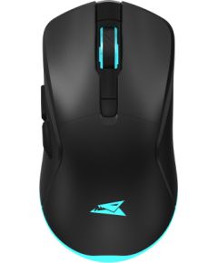 Baracuda BGM-121 Turtle Black