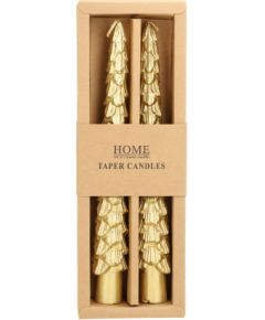 Antique candle CAROLS 2pcs 20cm golden spruce