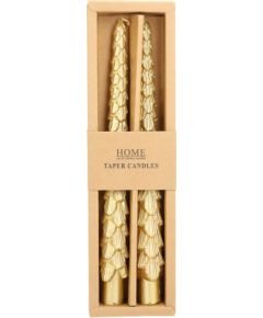 Antique candle CAROLS 2pcs 25cm golden spruce