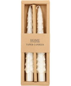 Antique candle CAROLS 2pcs 20cm white spruce