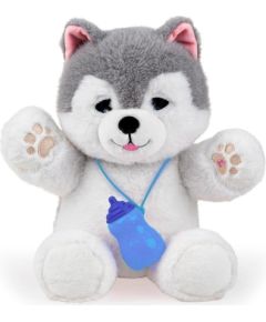 Dumel Piesek Husky