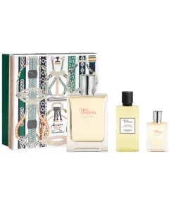 Terre D´Hermes Gift Set EDT 100 ml, After Shave 40 ml and miniature  EDT 12,5 ml 100ml