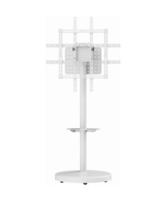 TV stiprinājums Gembird 37" - 86" TV floor stand Крепления для телевизоров