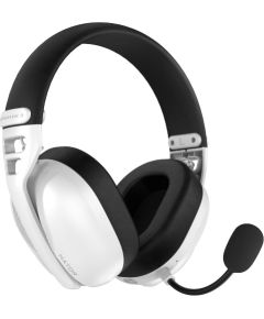 Hator ESH16 Hyperpunk 3 Bezvadu austiņas ar mikrofonu Austiņas