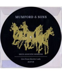 DELTA ACOUSTIC SESSIONS/ LIVE FROM ELECTRIC LADY LP (RSD) DJ tehnika