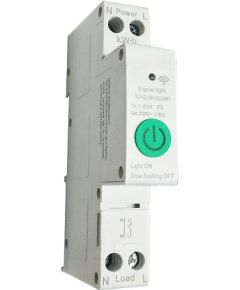 TUYA Умный 1-полюсный  переключатель Wi-Fi, 63A Viedie slēdži