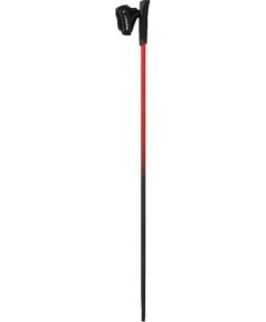 Палки для скандинавской ходьбы "Viking Pro-Trainer Nordic Walking" (115cm) Трекинговые палки