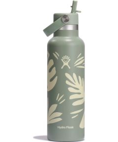 Hydro Flask termopudele 620 ml Standard Flex Straw Cap Бутылки