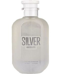 Gulf Orchid Silver Absolute EDP 100ml Vīriešu Smaržas