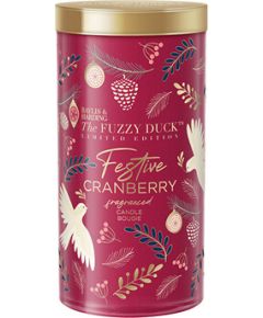 Baylis & Harding Festive Cranberry Fragranced Candle ( Zimní království ) - Vonná svíčka 390.0g Smaržas - NESAKĀRTOTS