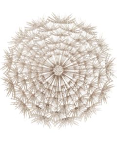 Galda sedziņa DANDELION D38cm, zelta Mēbeļu piederumi