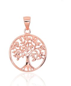 Sudraba kulons #2301627(PAu-R), Sudrabs 925°, sarkanais zelts (pārklājums), 1.9 gr. Ar zelta pārklājumu