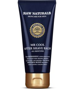 John Richmond Raw Naturals Mr.Cool After-Shave Balm 100 ml Dla Mężczyzn Мужская парфюмерия