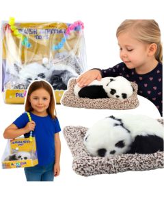 Leantoys Śpiąca Panda Na Poduszce Figurka z Futerkiem Przeźroczysta Torba Мягкие игрушки