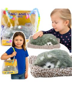 Leantoys Śpiący Pies Husky Na Poduszce Figurka z Futerkiem Torba Dźwięki EDUKAMP Мягкие игрушки