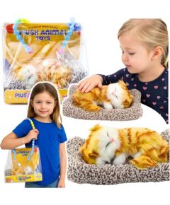 Leantoys Śpiący Rudy Kot Na Poduszce Figurka z Futerkiem Torba Dźwięki EDUKAMP Мягкие игрушки
