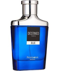 Pendora Scents Destined Paris Blue EDP spray 100ml Vīriešu Smaržas
