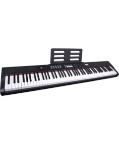 Dna Professional DNA PP 88 - Pianino cyfrowe, pełnowymiarowe klawisze Музыкальные инструменты