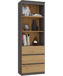 Top E Shop Topeshop RS-60 ANT/ART KPL office bookcase Новинки Для дома и сада 
