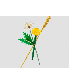 LEGO Botanicals 30701 Savvaļas puķes Jaunumi, Bērnu preces