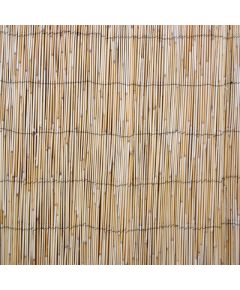 Rullis niedru žogs 1x5m Jaunumi -Dārzam