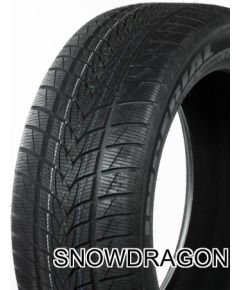 IMPERIAL SNOWDRAGON UHP 255/30R19 91V Ziemas riepas