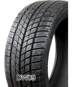 DOUBLE STAR DW09 275/40R20 106V Ziemas riepas