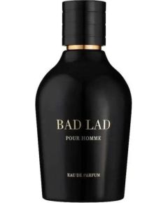 Saphir Bad Lad Pour Homme woda perfumowana spray 100ml Мужская парфюмерия