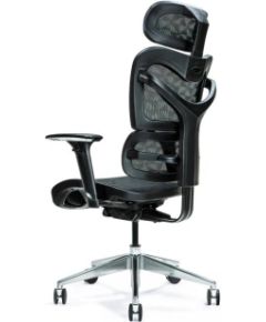 Ergonomic office chair ERGO 600 black Офисные стулья