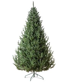 Ziemassvētku egle Vienna 2.5M 1240 Zari Mākslīgās egles