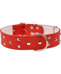 Dino Obroża Skóra Ozdobna 40mm/67cm Czarna Citas preces