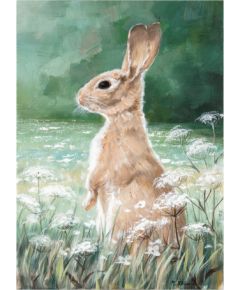 Eļļas glezna 50x70cm, trusis pļavā Jaunumi, mēbeles, māja