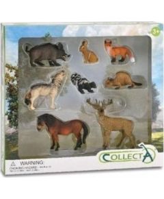 Figurka Collecta Zestaw leśne zwierzęta 8 el. Фигурки и герои