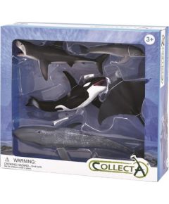 Figurka Collecta Zestaw zwierzęta morskie 5 el. Фигурки и герои