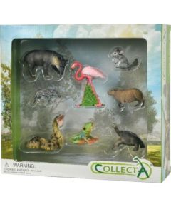 Figurka Collecta Dzikie zwierzęta zestaw 8 el. Фигурки и герои