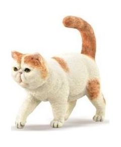 Figurka Collecta COLLECTA EGZOTYCZNY KOT KRÓTKOWŁOSY Figūriņas un varoņi